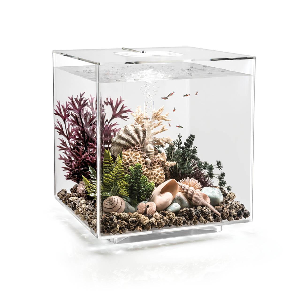 OASE biOrb CUBE 60 LED Clear