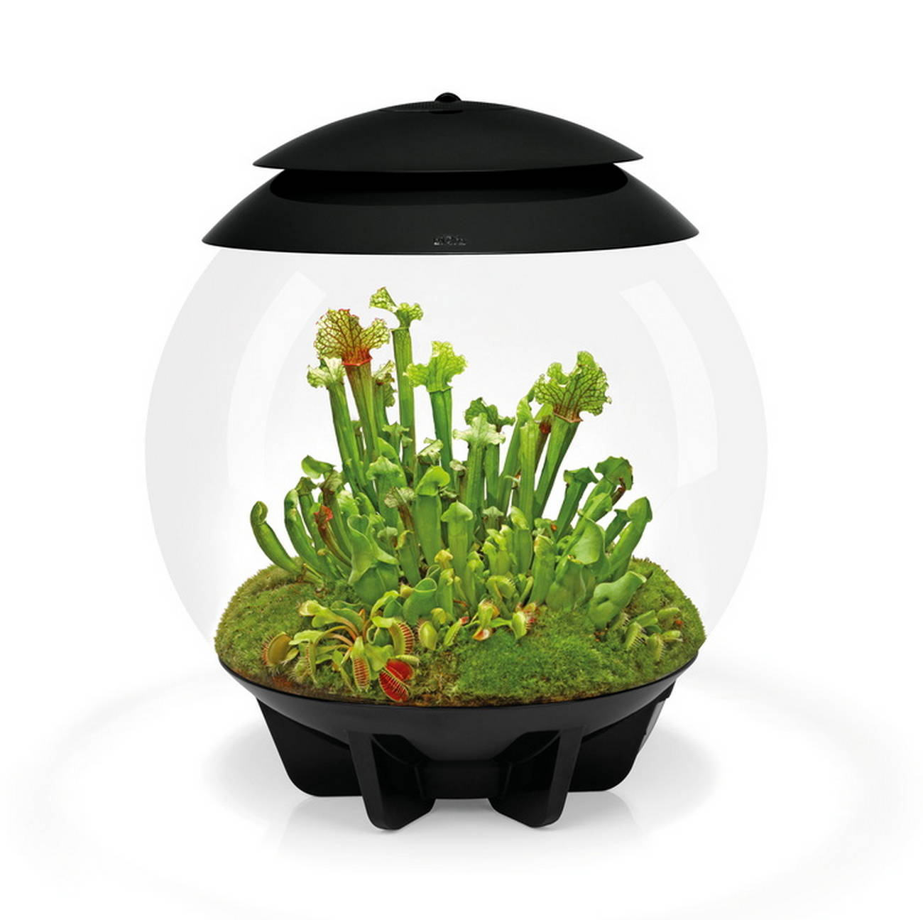 biOrb AIR Florarium 30 black1