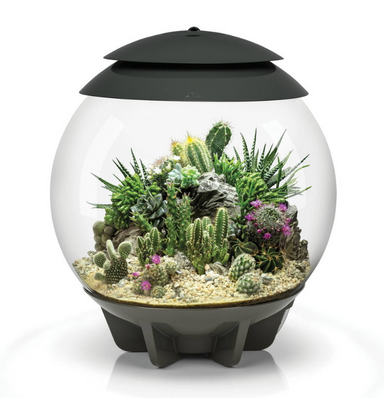 biOrb AIR Florarium 30 gray1