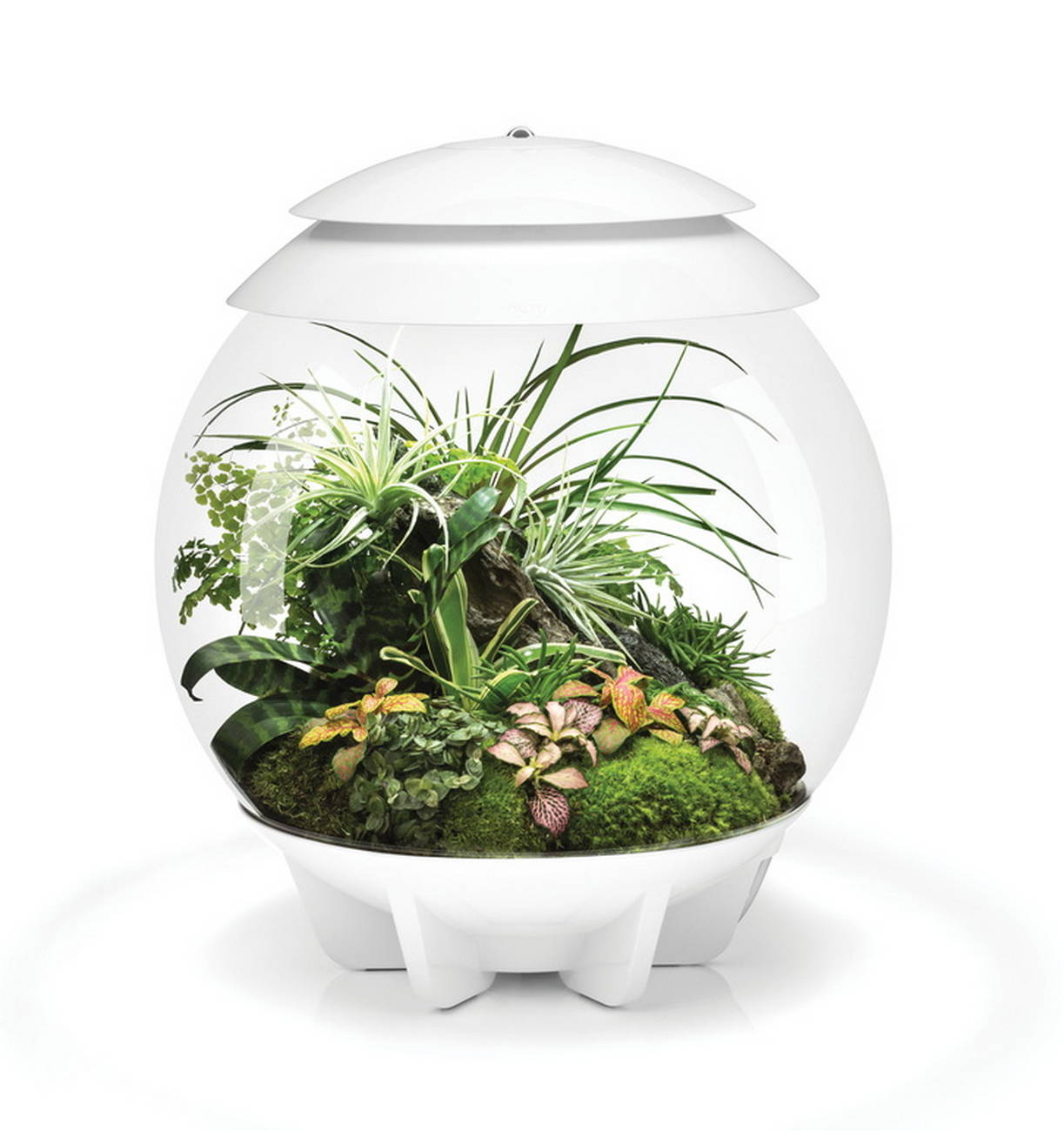 biOrb AIR Florarium 30 white1