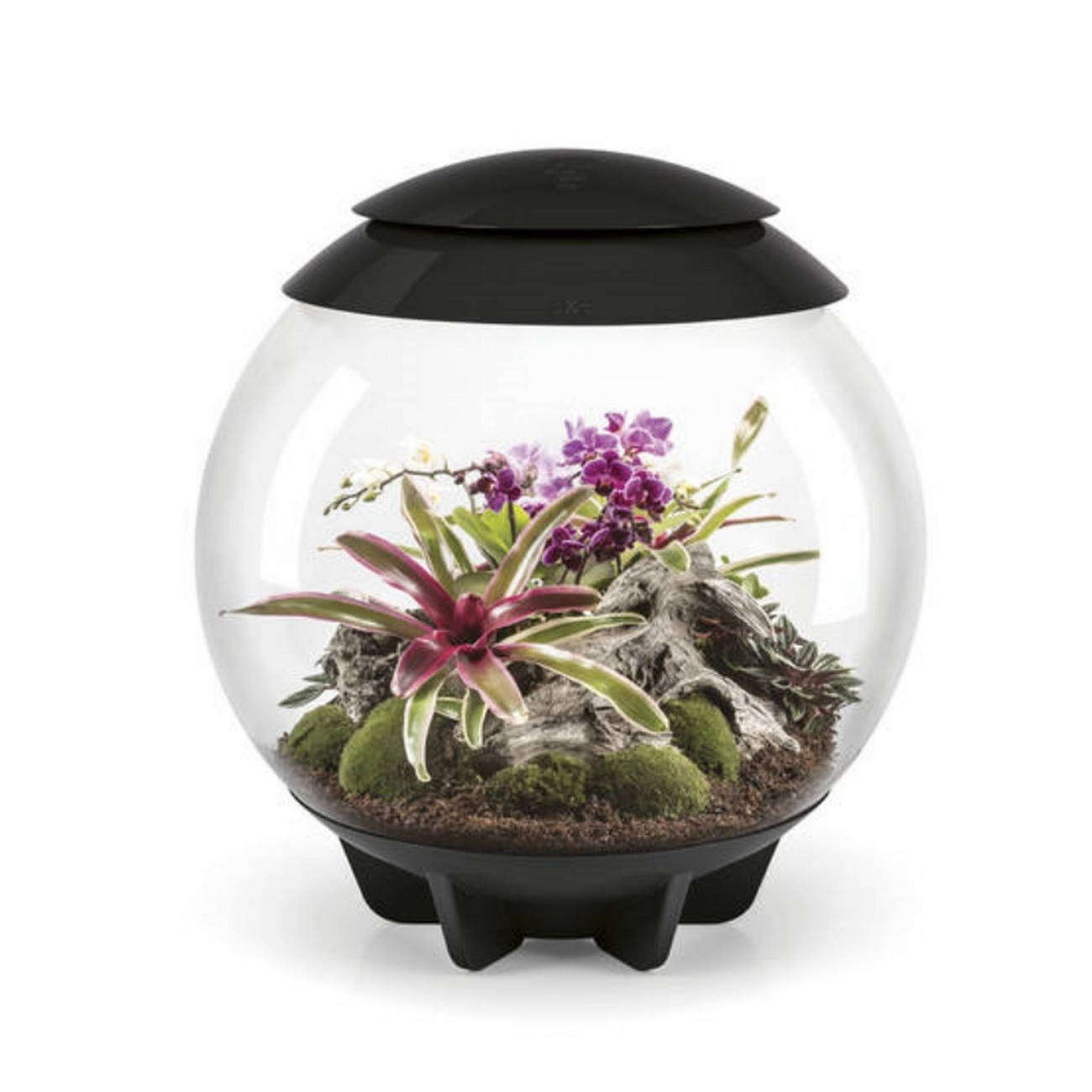 biOrb AIR Florarium 60 black1