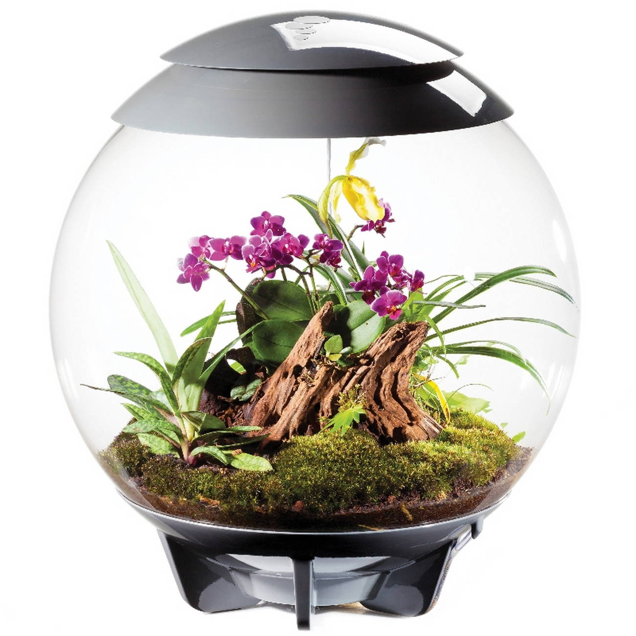 biOrb AIR Florarium 60 gray01