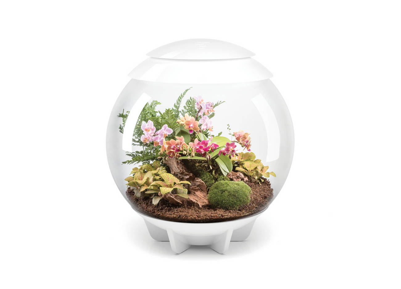 biOrb AIR Florarium 60 white 1