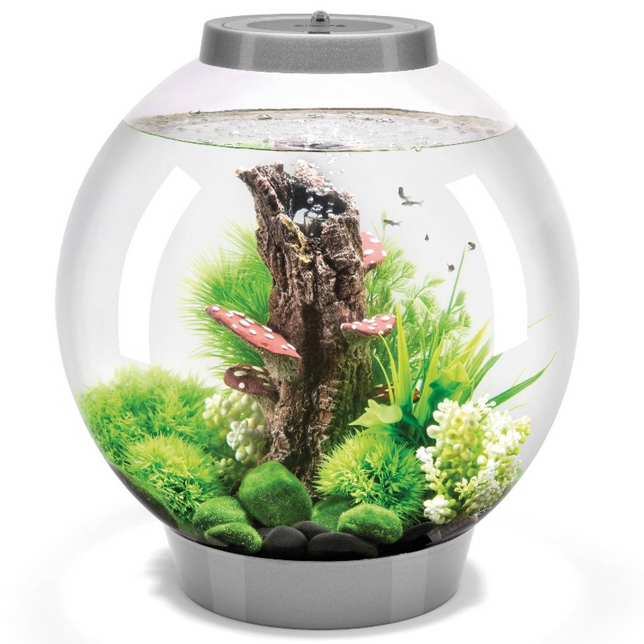 BiOrb CLASSIC 30 MCR aquarium silver2