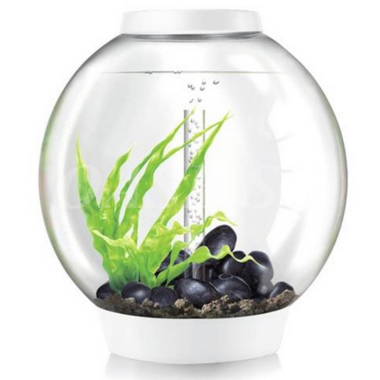 BiOrb CLASSIC 60 LED aquarium white1