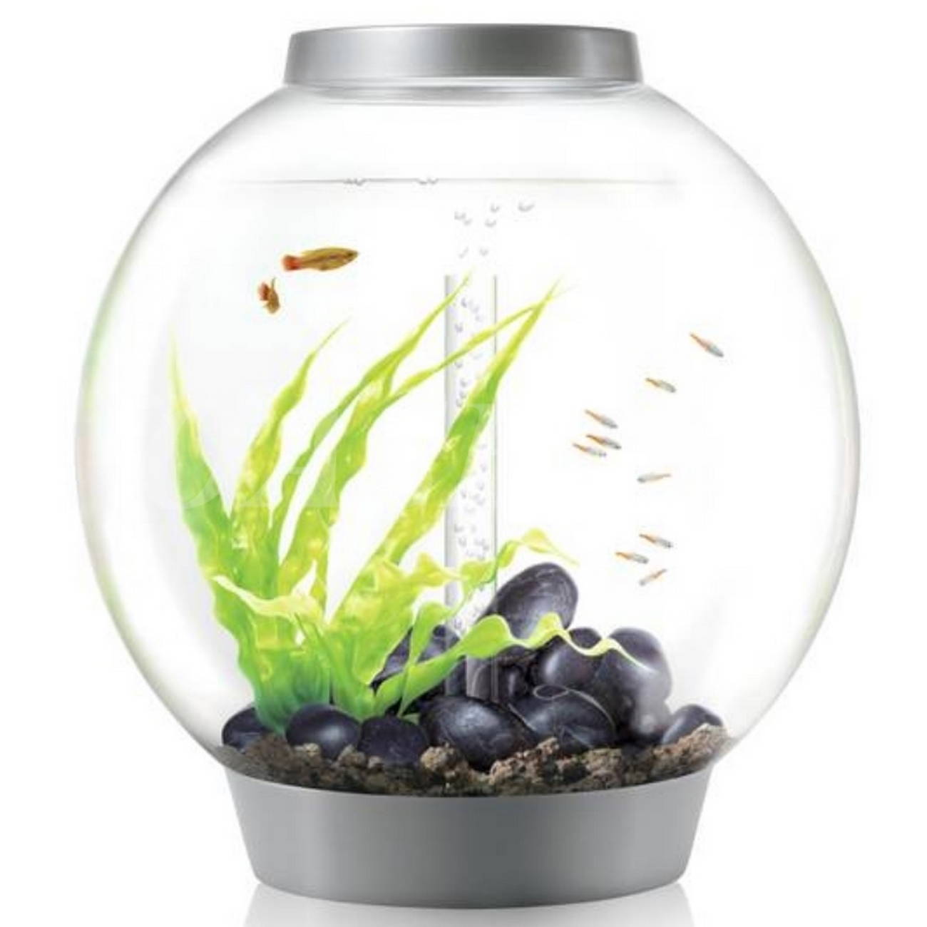 BiOrb CLASSIC 60 MCR aquarium silver2