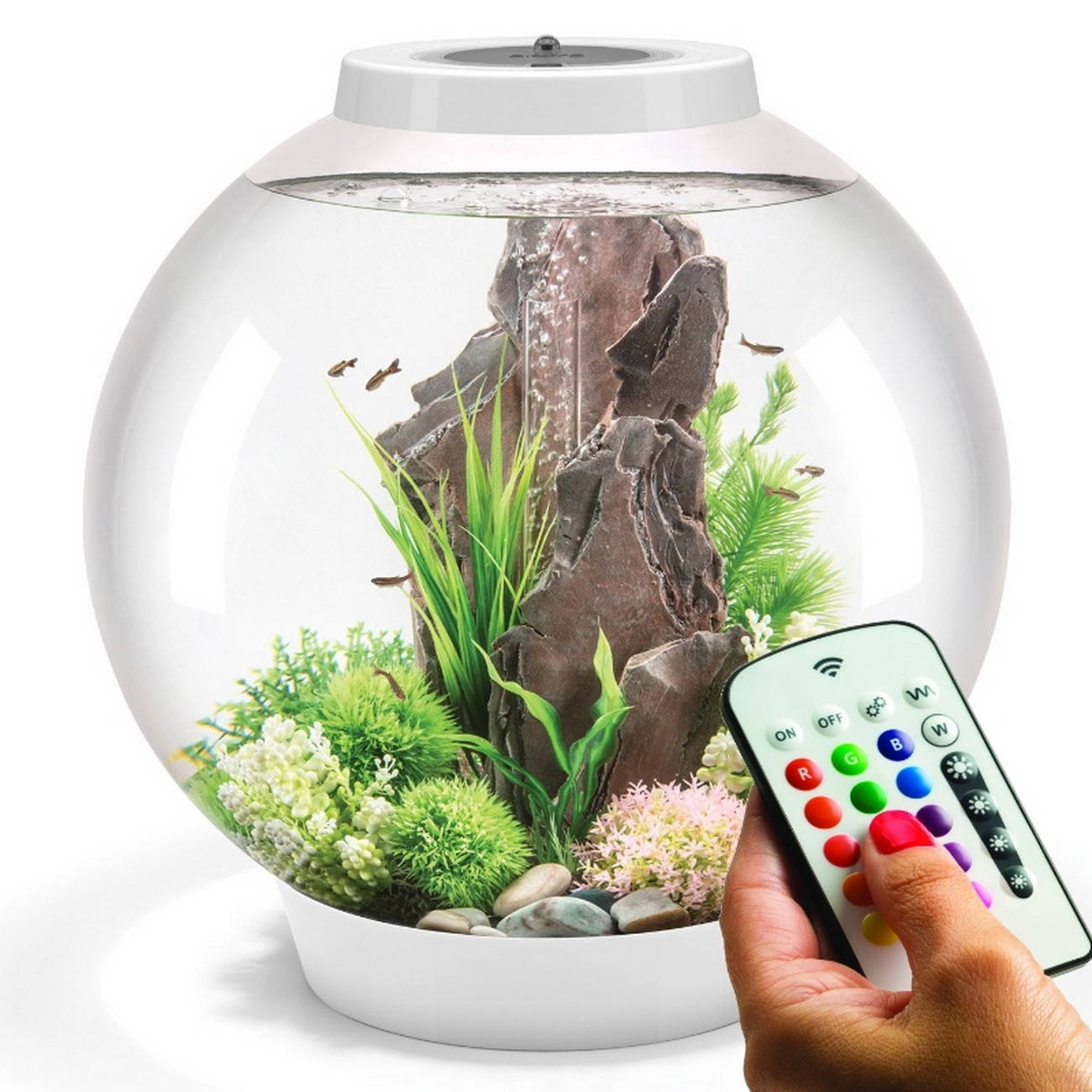 BiOrb CLASSIC 60 MCR aquarium white1 (1)