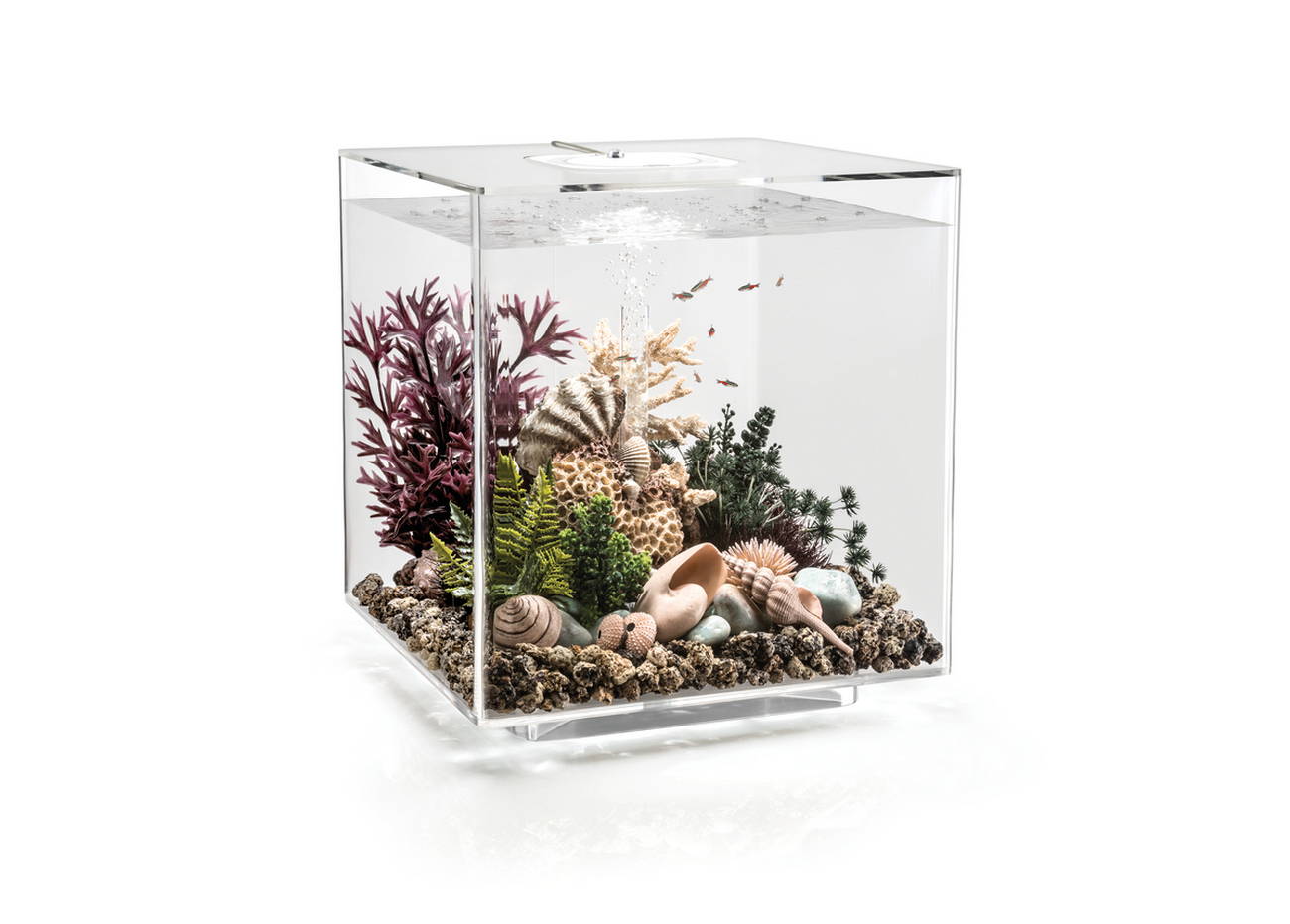 biOrb CUBE 30 LED transparent (2)