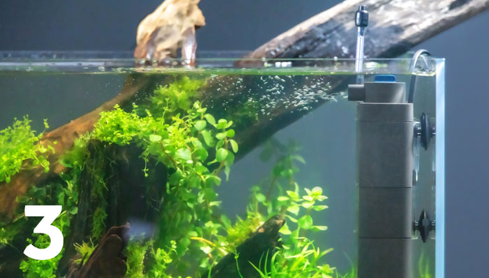 ecoflow-side_view_b305c45b-148b-4147-81c4-9ea759217924